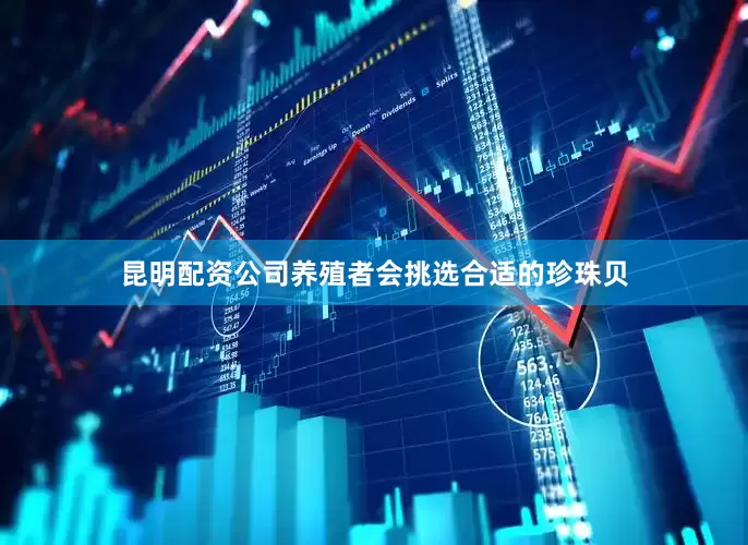 昆明配资公司养殖者会挑选合适的珍珠贝